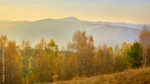 Bild auf Leinwand Autumn colored forest and mountains in haze