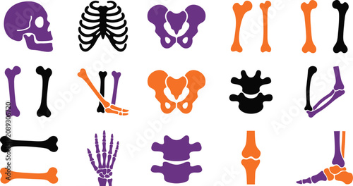 Tableau sur toile Anatomical skeleton elements collection ribs skull bones and joints
