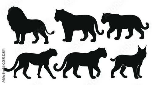 Photography Black silhouettes of big cats in different poses.