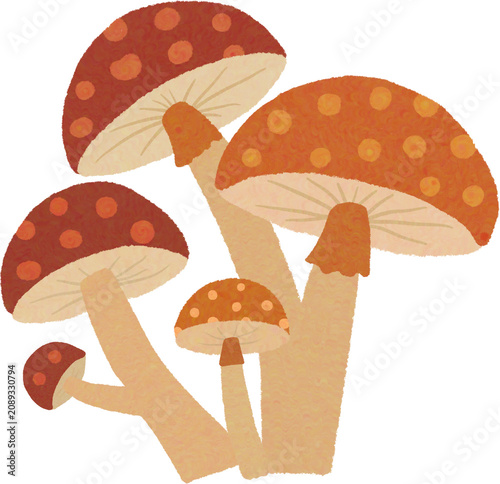 Cute hand drawn mushroom cluster illustration with polka dot caps.