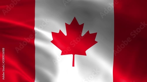 Canada Flag Waving in the Wind Seamless 3D Loop Animation