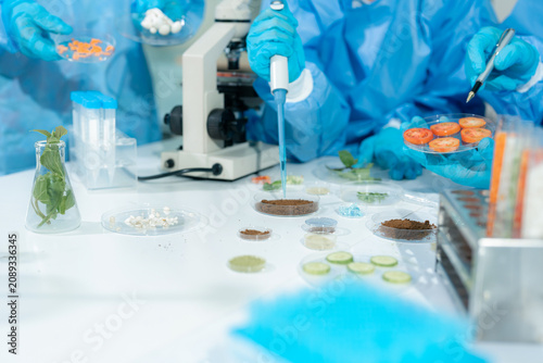 Foto Lab work, Doctor holds a test tube takes the test from a test tube in analysis, chemical residues food
