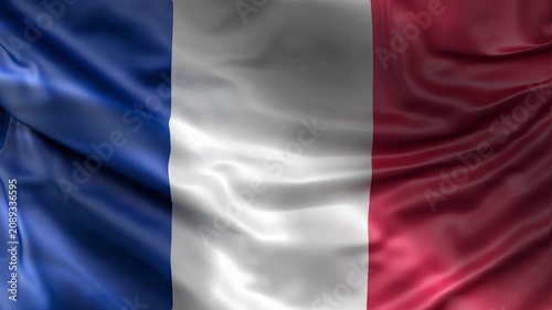 France Flag Waving in the Wind Seamless 3D Loop Animation