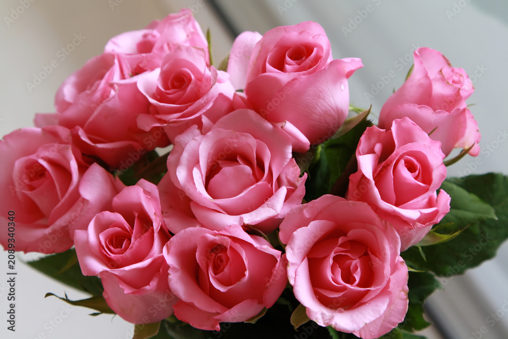 Fototapeta premium Close-Up View of a Beautiful Bouquet of Vibrant Pink Roses Clustered Together in Full Bloom
