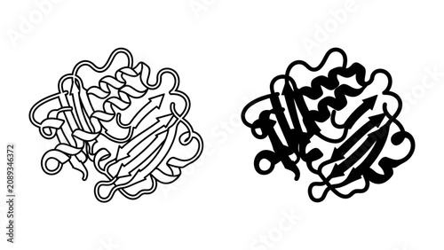 Cuadro en lienzo Protein Structure Illustration