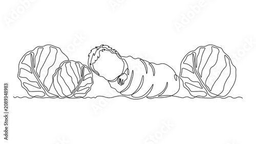 Schilderij op canvas Continuous line drawing of a sleeping baby between two cabbages, minimalist folk