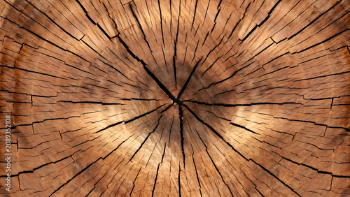 Tableau sur toile Close Up Of Tree Ring Texture With Cracks Detailed Brown Wood Grain