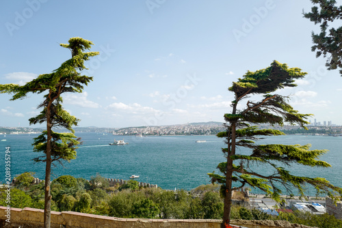 Bild auf Leinwand Iconic postcard view of Istanbul from Topkapi Palace, with windswept trees framing the Bosphorus strait and the historic city skyline under a perfect blue sky