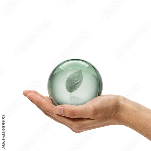 A human hand holding a smooth, clear glass sphere with a single green leaf visible inside, isolated on a plain white background, studio shot