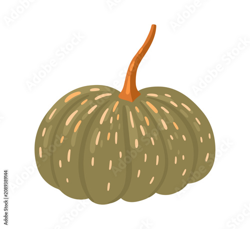 Hand-drawn autumn pumpkin. Vector.