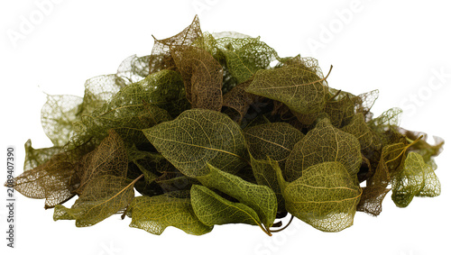 Foto Isolated pile of intricate dried skeletal leaves, delicate organic texture, natu