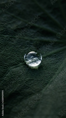 Water drop, on leaf, green, nature, macro close-up