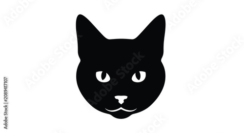 Photography Close-up of a Black Cats Face with Bright Eyes.