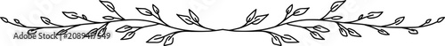 Hand-drawn vector - botanical horizontal divider