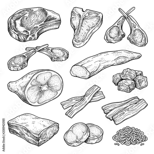 Collection of raw meat cuts, beef steak, pork fillet, lamb chop, ham, bacon, ink sketch, white background