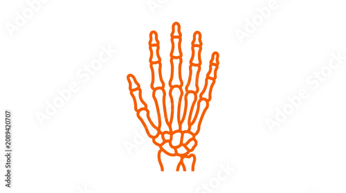 Bild auf Leinwand Orange Skeleton Hand Icon on White Background, Medical Illustration