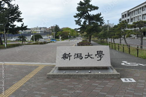 新潟大学