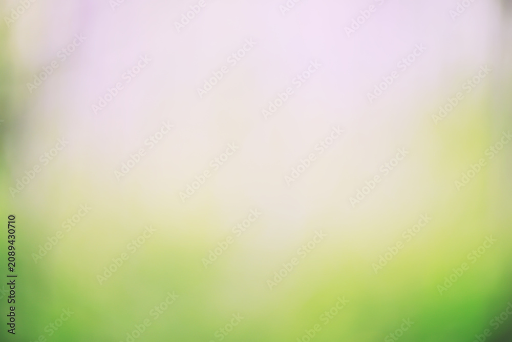 Obraz premium Blurred green background, gradient and summer bokeh, delicate soft color, blank form