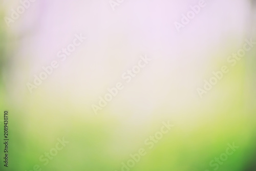 Blurred green background, gradient and summer bokeh, delicate soft color, blank form