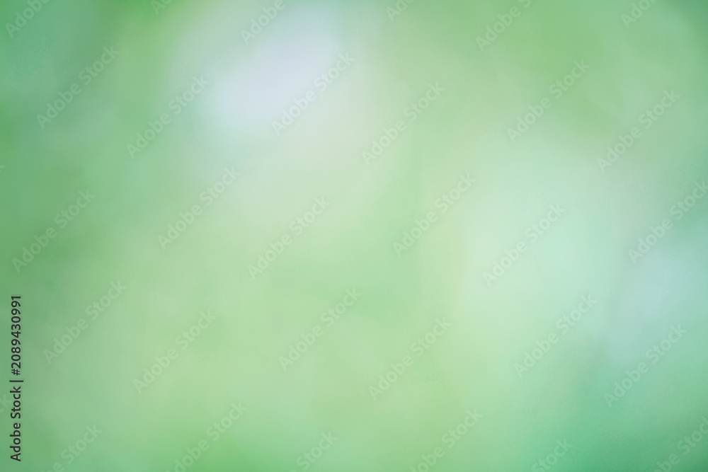 Fototapeta premium Blurred green background, gradient and summer bokeh, delicate soft color, blank form