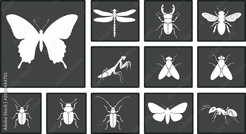 Fototapeta premium Insect Silhouette Icon Set with Butterfly Dragonfly Bee Mantis Beetle Ant and Moth Vector Stencil Shapes for Nature Wildlife and Biological Graphic Designs