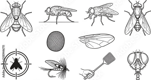 Fly Icon Vector Illustration Featuring Insect Anatomy, Compound Eye, Wing Detail, Swatter, Fishing Lure