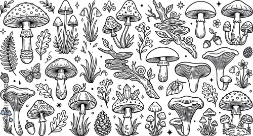 Foto Witchy forest mushroom vector illustration set featuring amanita chanterelles tr
