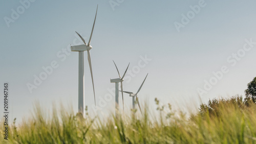 Obraz na płótnie Wind Turbines Rising Above Tall Golden Grass in Rural Landscape — Renewable Ener