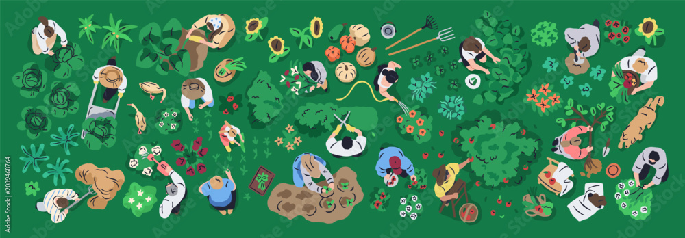 Fototapeta premium Gardening and farming, top down view. People working in vegetable garden, landscape design, plant care, collecting harvest, growing tree, watering flowers from above. Flat vector illustration