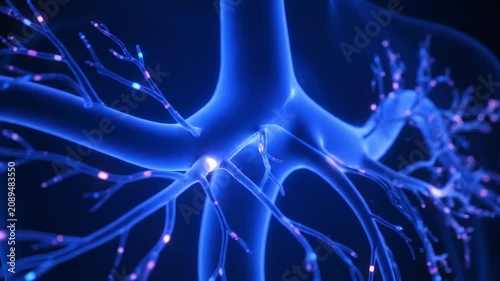 Human Lungs Kaise Kaam Karte Hain? | Human Respiratory System 3D Animation