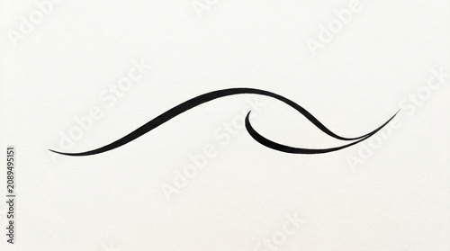 Black Ink Abstract Wavy Line Drawing on Plain Light Background