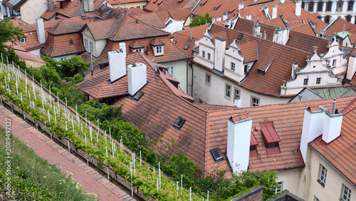 Photography panorama of Prague seen from south gardens below Hradcany castle