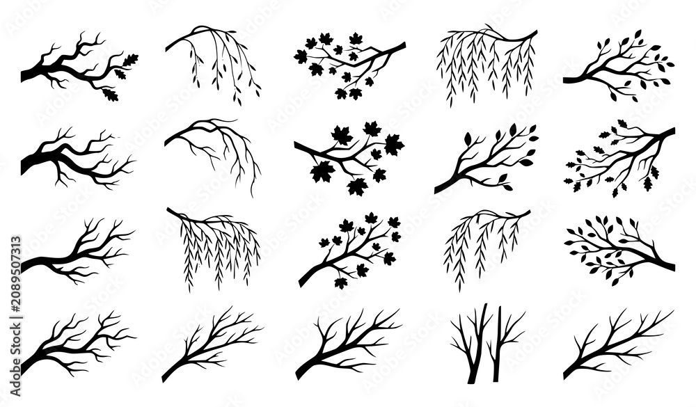 Obraz premium Hand Drawn Tree Branch Collection with Leaves Berries and Botanical Twigs Isolated on White Background