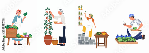 Tableau sur toile Flat vector illustration of various people harvesting fresh vegetables, picking tomatoes, and organizing home-grown produce in a rustic setting