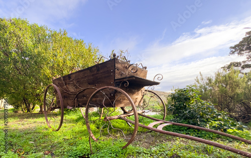 Antique wooden horse cart standing in a green grassy field under a bright blue sky.