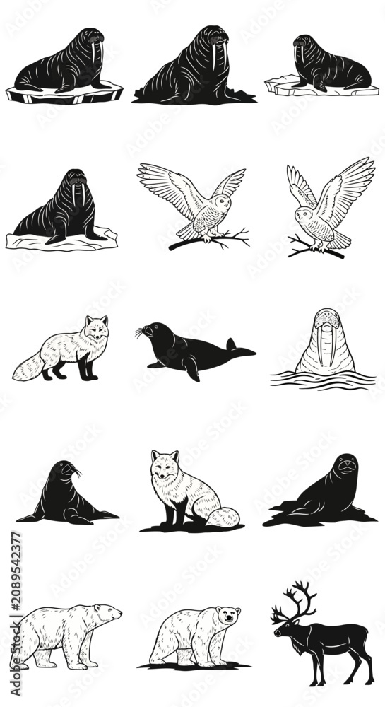 Fototapeta premium Vintage Arctic animal vector set, hand drawn polar wildlife illustrations, 15 black and white icons of walrus, polar bear, fox and owl