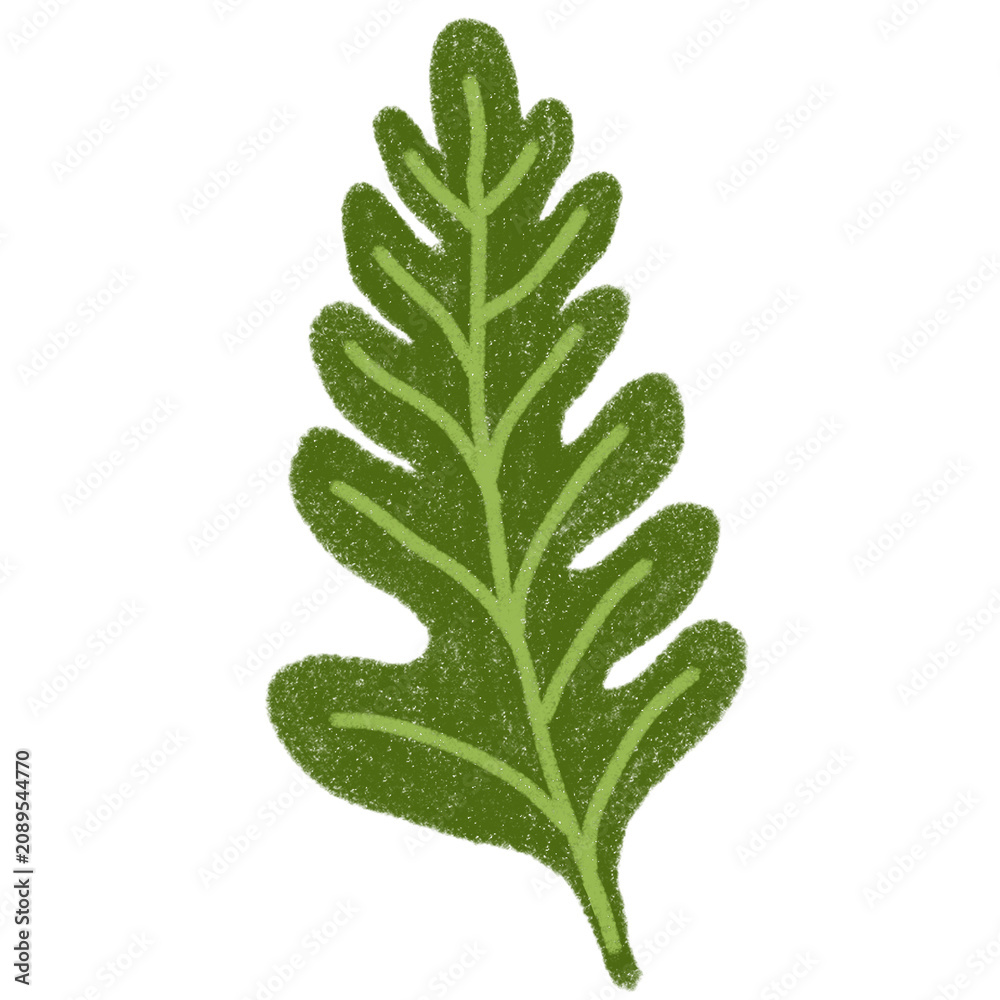 Fototapeta premium crayon illustration of a leaf