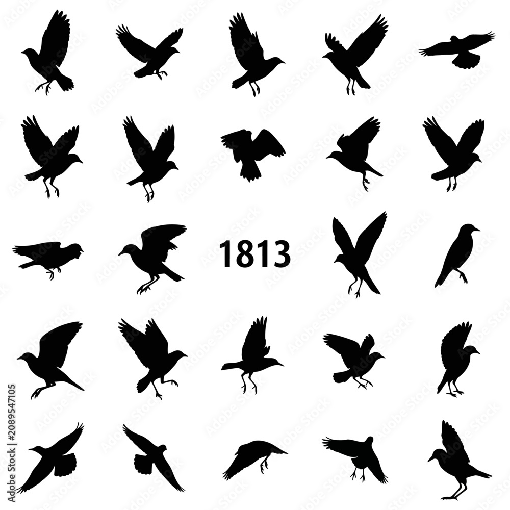 Obraz premium Black bird silhouettes set, flying crow and raven vector icons, 24 wild bird shapes in various flight poses, isolated animal graphics for design