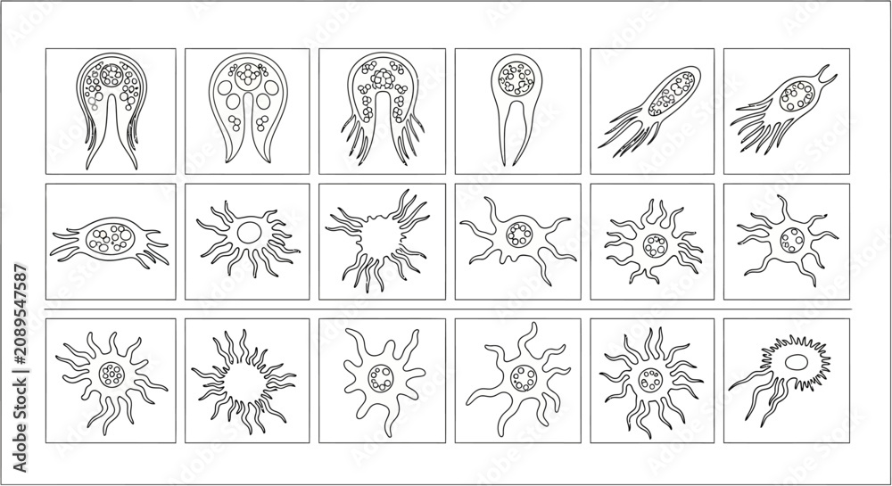 Fototapeta premium Scientific microorganism line icons, set of 18 biological cell and bacteria vectors, microscopic organism illustrations for education and lab research