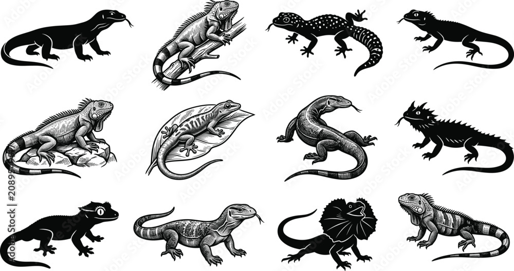 Obraz premium Lizard and Iguana Silhouette Vector Collection with Reptile Clipart and Wildlife Illustrations