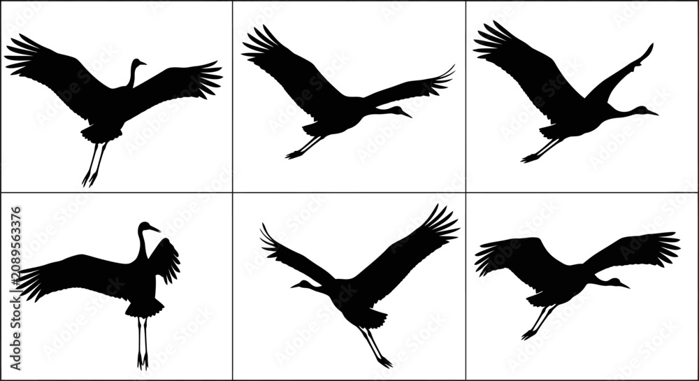 Obraz premium Flying crane bird silhouettes, set of 6 black stork icons in flight, elegant heron wing motion vector graphics for nature logo design