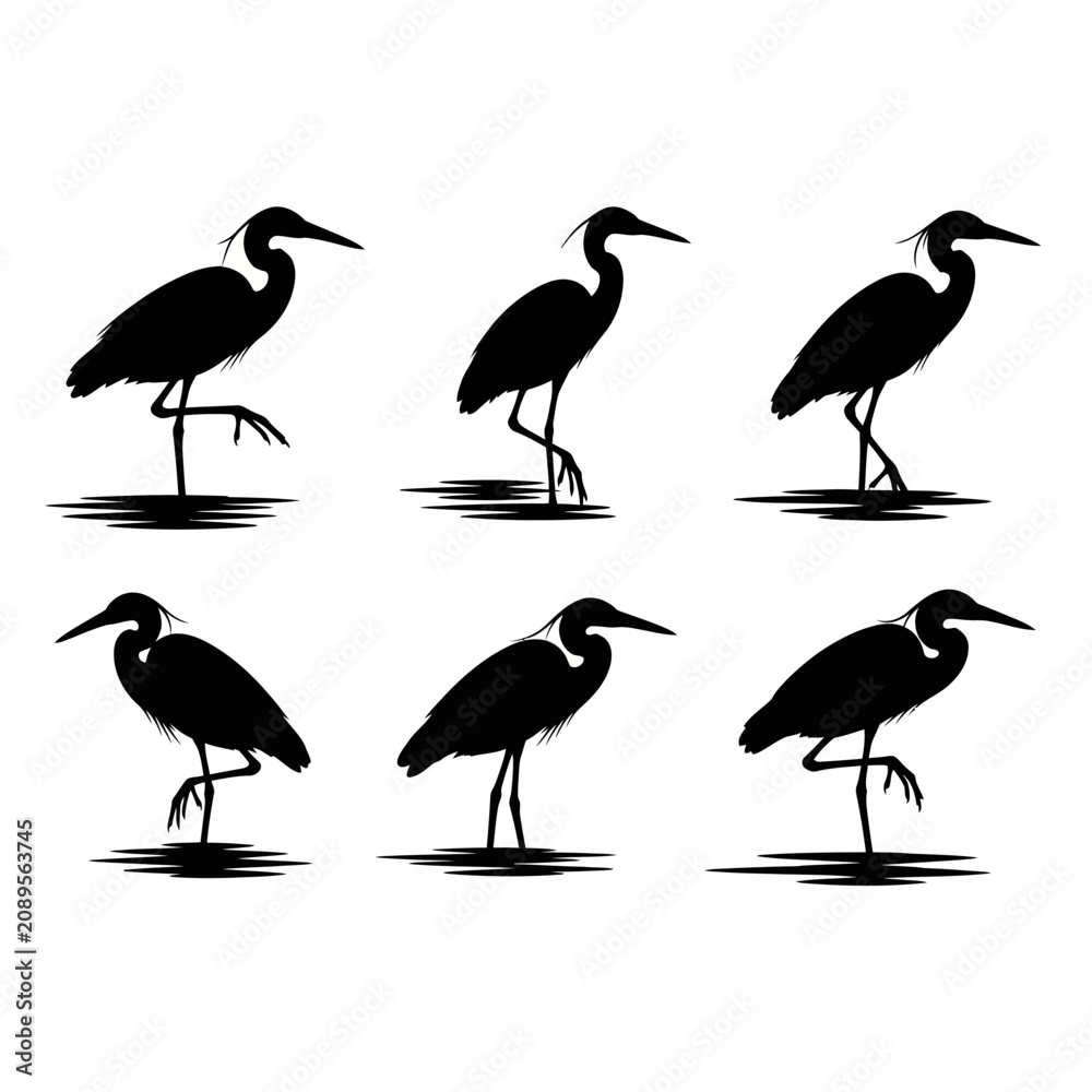 Fototapeta premium Great blue heron silhouette set, 6 bird vector elements in various standing poses, black crane and egret icons for nature and wildlife design