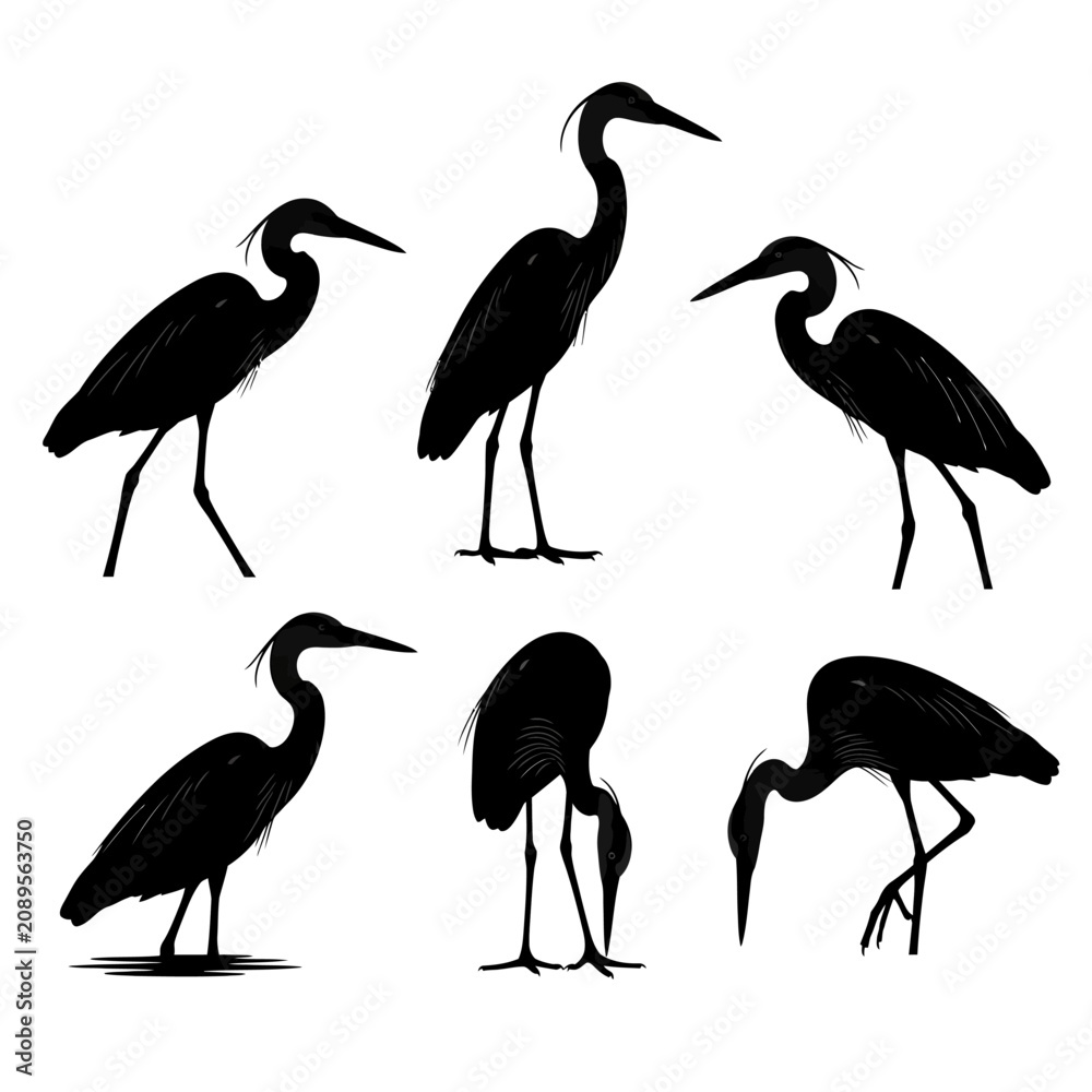 Obraz premium Heron bird silhouette collection, black crane and egret vector set, 6 elegant stork icons, minimalist wildlife animal graphics for nature design