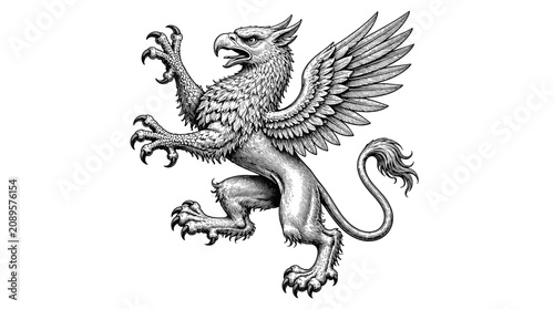 Heraldic Griffin Creature with Wings and Claws Illustration.