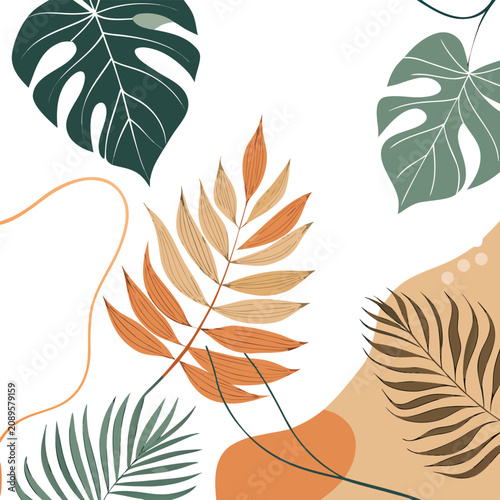 Obraz na płótnie Aesthetic Botanical Line-Art Foliage: A modern, minimalist wallpaper background