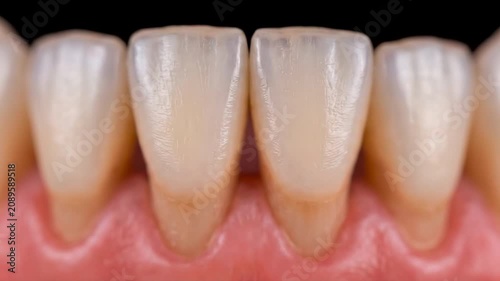 Macro close-up of human teeth and pink gums. Suitable for dentistry education, dental clinic advertising, medical presentation, and oral hygiene.