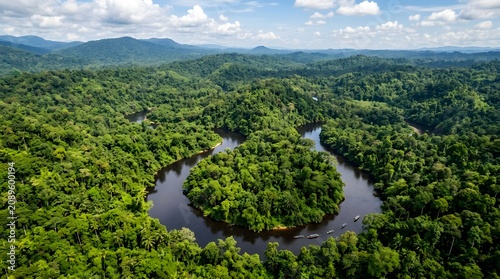 Tropical jungle river in Borneo winding through dense rainforest, aerial nature photography, vibrant green tones