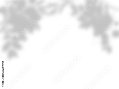 Soft Natural Floral Shadow Overlay Cast On A Clean White Background Creating A Minimalist Aesthetic For Artistic Digital Photography