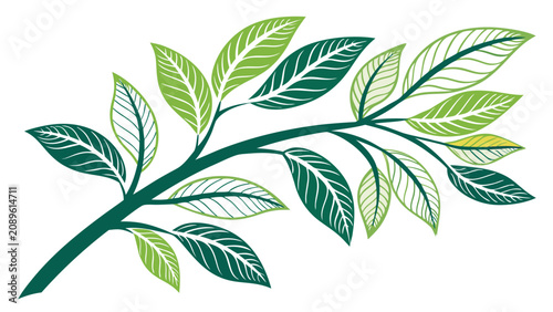Stylish green leaf logo illustration representing sustainability, innovation, and environmentally friendly business solutions.