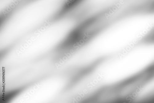 abstract botanical shadow overlay, soft leaves silhouette on white wall, natural window light background